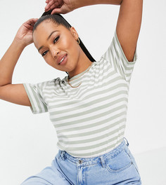 Свободная футболка в белую и шалфейно-зеленую полоску ASOS DESIGN Curve-Многоцветный