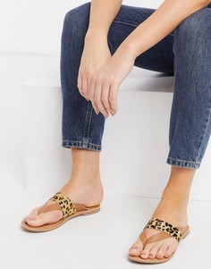 Светло-коричневые сандалии на плоской подошве со звериным принтом на ремешке New Look-Коричневый цвет