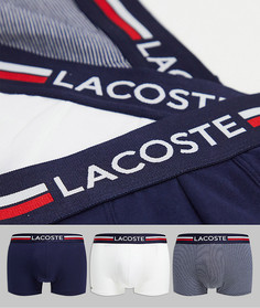 Набор из 3 боксеров-брифов темно-синего, белого цвета и в полоску Lacoste-Многоцветный