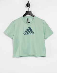 Зеленая укороченная футболка adidas Training-Зеленый цвет