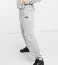 Серые oversized-джоггеры The North Face Oversized Essential-Серый