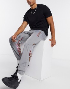 Серые спортивные штаны adidas Originals zeno-Серый