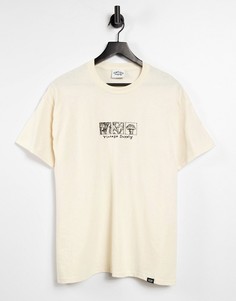 Футболка песочного цвета с принтом грибов в рамках на спине Vintage Supply-Серо-бежевый
