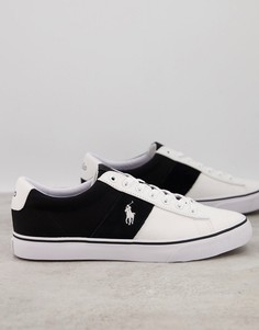 Белые кроссовки из парусины со вставкой и логотипом-пони Polo Ralph Lauren-Черный цвет