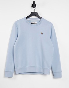 Светло-голубой свитшот с логотипом Abercrombie & Fitch