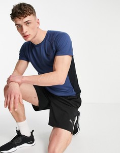 Темно-синяя футболка Puma Evostripe-Темно-синий