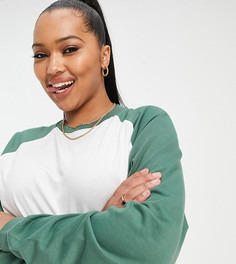 Белый лонгслив в стиле oversized с контрастными рукавами реглан зеленого цвета ASOS DESIGN Curve-Многоцветный