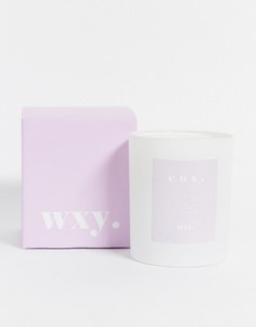Свеча с ароматом фиалкового корня и амбры WXY. Eos., 200 г-Бесцветный