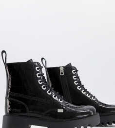 Эксклюзивные лакированные ботинки черного цвета с крокодиловым принтом Kickers Kizzie-Черный цвет