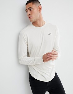 Бежевый лонгслив с логотипом Hollister-Neutral