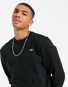 Черный базовый свитшот с круглым вырезом Lacoste-Черный цвет