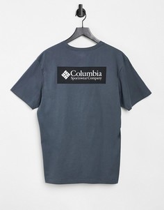 Серая футболка с принтом на спине Columbia North Cascades-Серый