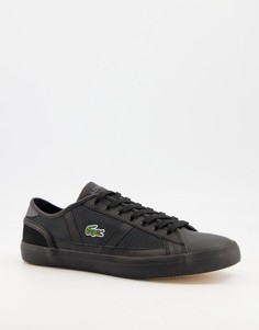 Черные кроссовки с полосками по бокам Lacoste Sideline-Черный цвет