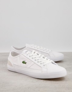 Белые кроссовки Lacoste Sideline-Белый