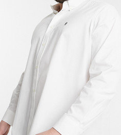 Белая оксфордская рубашка на пуговицах с логотипом French Connection Plus-Белый