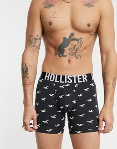 Черные боксеры с узором Hollister-Черный цвет