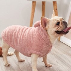 Бархатная толстовка для собак 1шт Shein