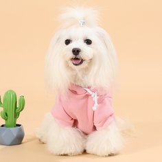 Толстовка для собак Shein