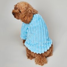 Однотонный свитшот для собак Shein
