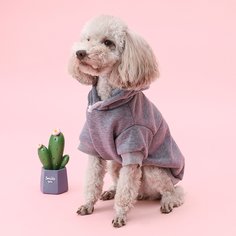 Однотонная толстовка для собак Shein