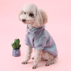 Однотонная толстовка для собак Shein