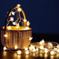 1шт 3m лампочная гирлянда и 20шт лампочка в форме розы Shein