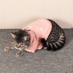 Свитшот с принтом для кошек Shein