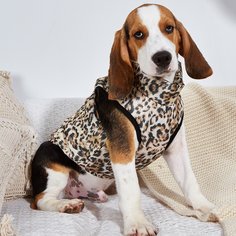 Куртка для домашних животных с леопардовым узором Shein