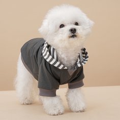 Толстовка для домашних животныхс капюшоном Shein