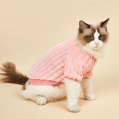 Плюшевый свитшот для кошек Shein