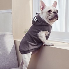 Толстовка для домашних животных с ушками 3D Shein