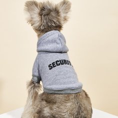 Толстовка для домашних животных с текстовым рисунком Shein