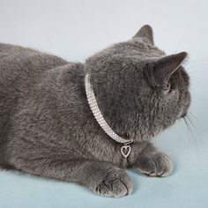 1шт кошачье ожерелье со стразами и сердечком Shein