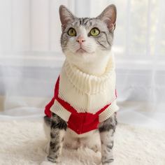 Свитер для кошек с рисунком сердца Shein