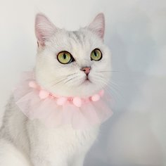 Сетчатое ожерелье для кошки с помпоном Shein