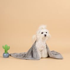 Однотонное одеяло для собак Shein