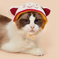 Шапка с вышивкой для кошек Shein