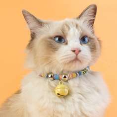 Ожерелье для кошек с бубенчиком Shein
