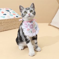 Со цветочками Аксессуары Для Кошек Shein