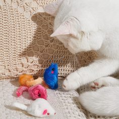 3шт игрушка в форме мыши для кошек случайного цвета Shein