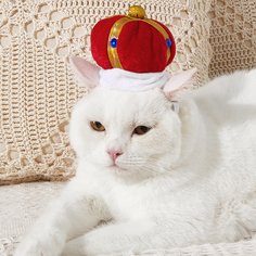 Шапка в форме короны для кошек Shein