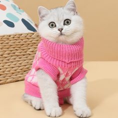 Свитер с высоким воротником для кошек Shein