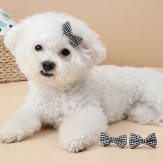 Клетка Аксессуары Для Собак Shein