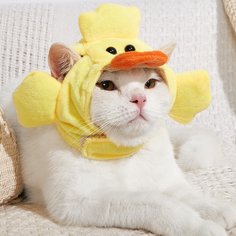 Шапка для домашних животных в форме утки Shein