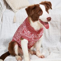 Свитер для домашних животных Shein
