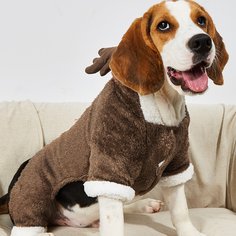 Плюшевая пижама для домашних животных с капюшоном Shein