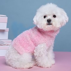 Одноцветный Свитера Для Домашних Животных Shein