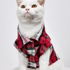Клетка Рубашки Для Домашних Животных Shein