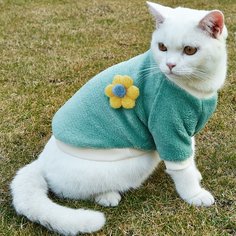 Плюшевый свитшот для домашних животных с цветком Shein