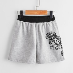Животный Повседневный Шорты для мальчиков Shein